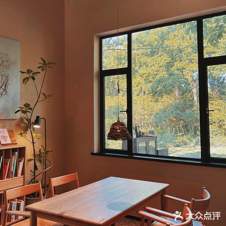 🌿周浦公园新晋打卡地|一尺花园玻璃屋