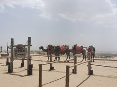 -黄沙古渡原生态旅游区