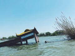 -溱湖国家湿地公园