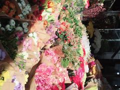 -曲阳花鸟市场(曲阳路店)