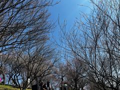 -台州府城(江南长城)
