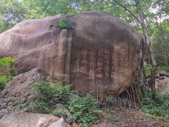 -云岫谷游猎自然风景区
