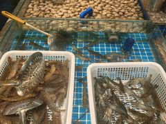 -一方渔歌蒸汽海鲜自助(文化路万达广场店)