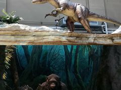 -国家自然博物馆