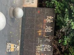 -世纪同乐绿地世纪城二期