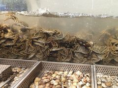 -金滏山烤肉·海鲜·火锅自助餐厅(襄阳万达店)