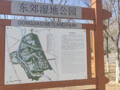 -东郊湿地公园