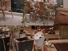 -柴务处·柴犬主题狗咖