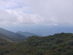 -大围山国家森林公园