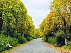 -上海海湾国家森林公园