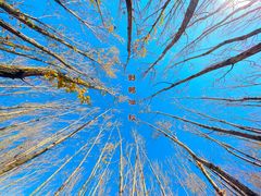 -野鸭湖国家湿地公园