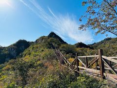 -大岭沟猕猴桃谷风景区