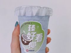 雪燕椰椰冰-炖物24章·顺时轻养茶(黄龙店)