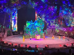 -广州长隆国际大马戏