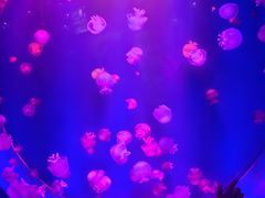 -多彩贵州城极地海洋世界