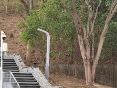-白石龙音乐公园