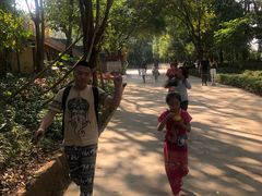 -西双版纳勐泐文化旅游区