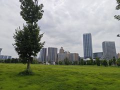-桂溪生态公园