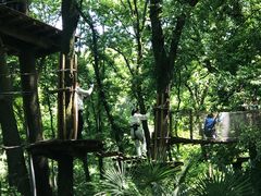 -WeLope紫金山探险公园