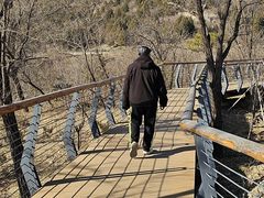 -白水寺森林公园