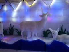 -白鹿仓冰雪海洋世界
