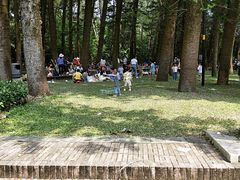 -金山植物公园