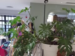 -一尺花园(安和花园店)