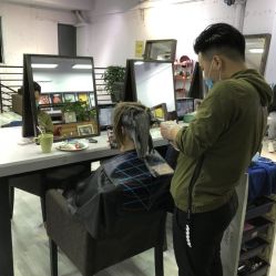 -T8 SALON