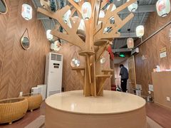 -MOCHA明星猫咖(田子坊店)