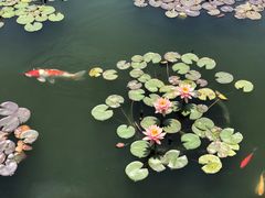 -石峰岩寺
