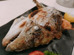 -采御鲜·回转寿司(汕头万达店)