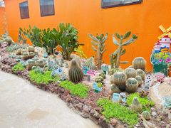 -正佳雨林生态植物园