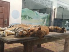 -大连森林动物园