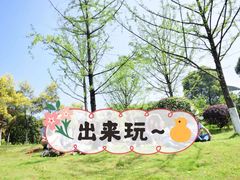 -铁山坪森林公园