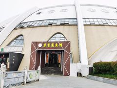 -丁老爷子苏香圆