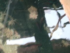 -蓝湾碧波·老字号·疍家非遗海上餐厅