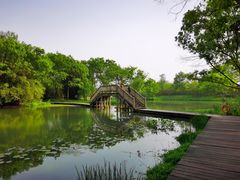 -西溪国家湿地公园