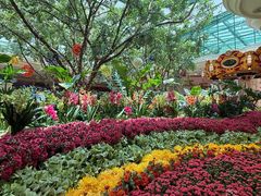 -拉斯维加斯永利酒店