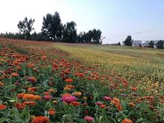 -长春世界雕塑园冰雪艺术天地