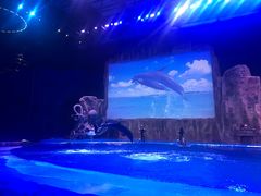 -华夏文旅海洋公园