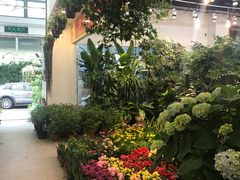 -双季花艺园艺市场(浦东店)