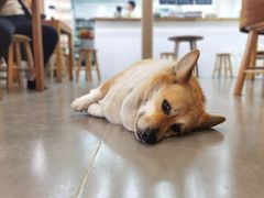 -阿木舂记·特色小吃(平江路店)