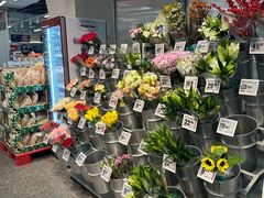 -紫荆广场·花漫里