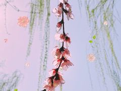 -三里河公园