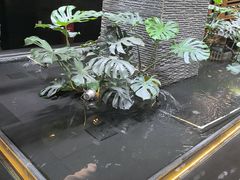 -新廊桥(原科华廊桥店)