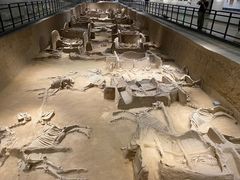 -洛阳周王城天子驾六博物馆