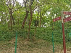 -禹城市禹王亭博物馆