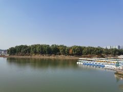 -大兴滨河森林公园