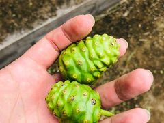 -DFS旗下塞班岛T广场(Saipan)