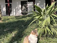 -西园戒幢律寺